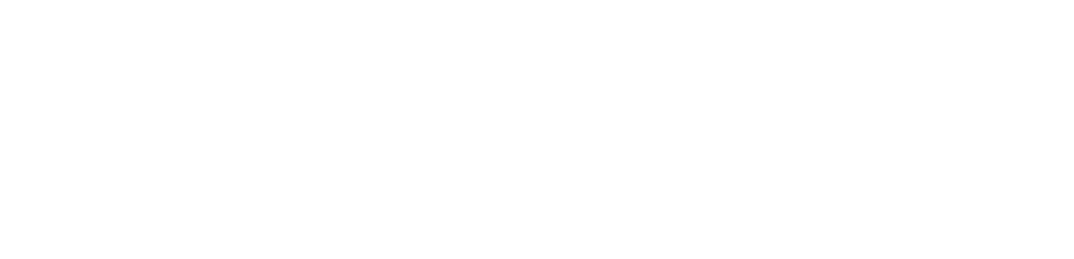 newzer – Informationen früh erkennen
